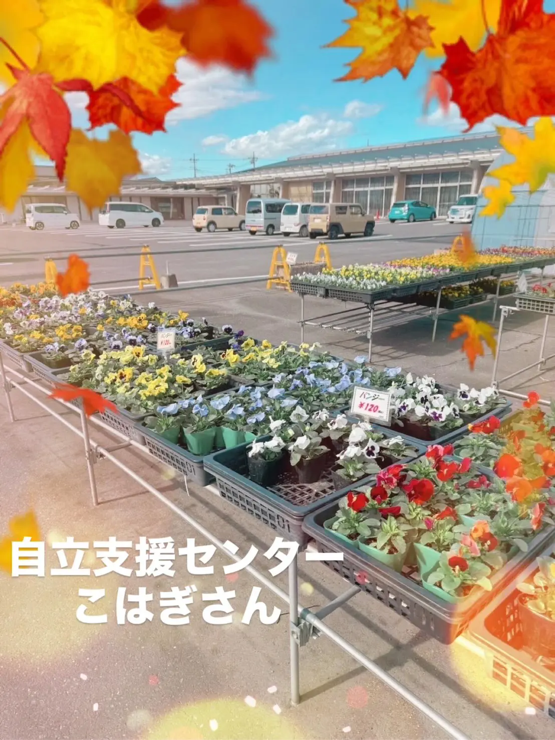 あおぞら便り11月号｜吉井福祉センター祭りに行ってきました！